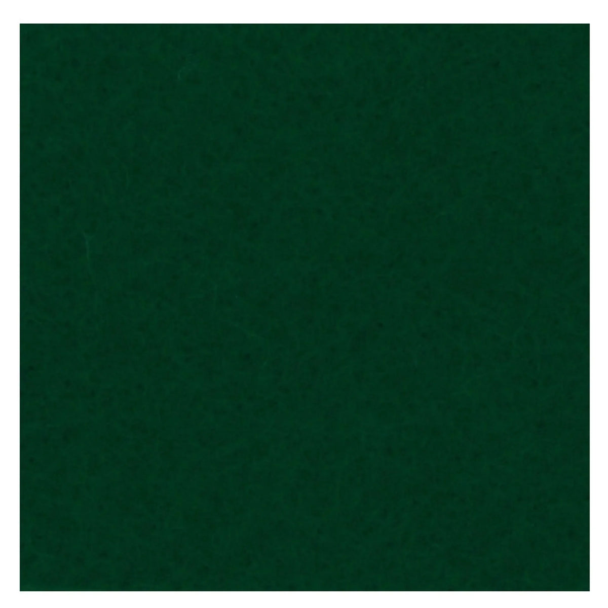 Yorkshire Regt Beret Backing