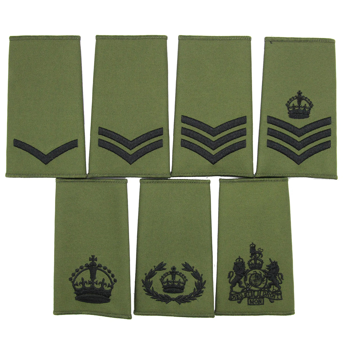Olive Rank Slides Enlisted