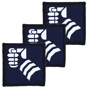 20th Armoured Brigade Combat Team Blue White TRF Hook and Loop TRF x3 TRF Pack