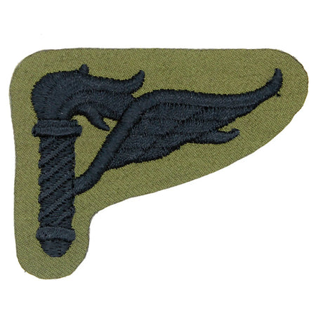 US Subdued Pathfinder Wings Large