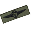 German Subdued Parachute Wings