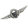 German Metal Parachute Wings