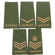 QARANC Olive Rank Slides