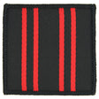 RAPTC Royal Army Physical Training Corp Beret Backing