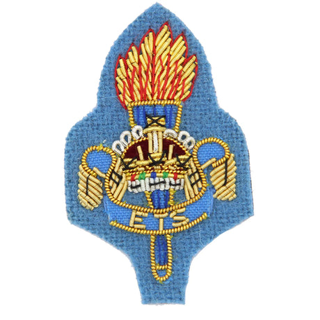 ETS Officers Cap Badge Sky Blue Backing
