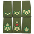Intelligence Corp Rank Slides