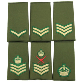 Intelligence Corp Rank Slides