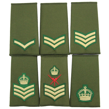 Intelligence Corp Rank Slides