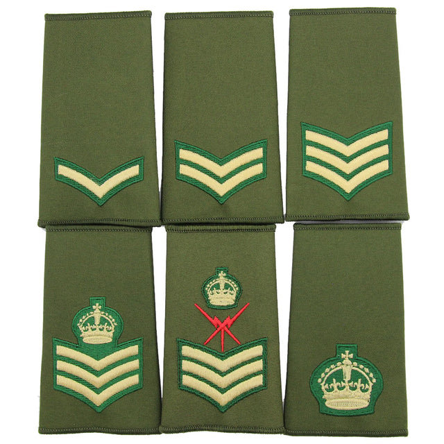 Intelligence Corp Rank Slides