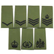 Olive Rank Slides Enlisted