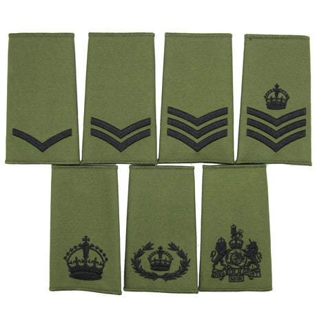 Olive Rank Slides Enlisted