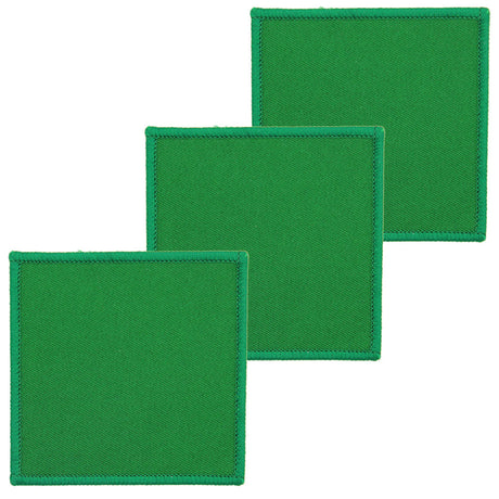 x3 Green 3 Para DZ Flash Hook and Loop Parachute Regiment
