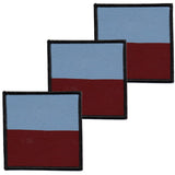 x3 DZ Flash Depot Para Hook and Loop