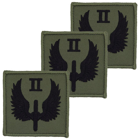 x3 DZ Flash 2 Sqn II Sqn RAF Regiment