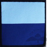 x3 DZ Flash 9 Regiment Army Air Corp
