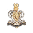 Queens Royal Hussars Kings Crown Cap Badge