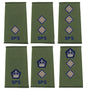 AGC SPS Officers Olive Rank Slides