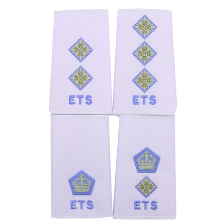 ETS White Officers Rank Slides