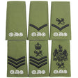 Queens Dragoon Guards QDG Olive Rank Slides