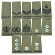 Yorkshire Regiment Rank Slides