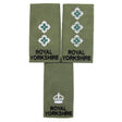 Royal Yorkshire Regiment Officers Olive Rank Slides