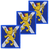 Royal Regiment of Scotland Blue Hook and Loop TRF x3 TRF Pack