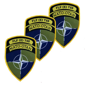 NATO FLF E TSS Battle Group TRF Flash x3 TRF
