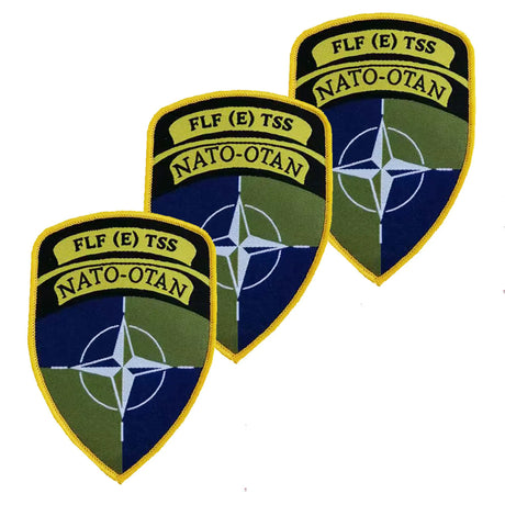 NATO FLF E TSS Battle Group TRF Flash x3 TRF