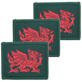 Royal Welsh TRF