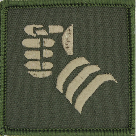 20th Armoured Brigade Combat Team Green TRF x3 TRF Pack