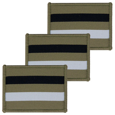 Royal Yeomanry Subdued TRF x3 Pack