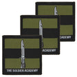 Soldier Academy Subdued TRF x3 TRF Pack, Iron on backing