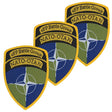 NATO Battle Group Estonia Hook and Loop TRF Flash X3 TRF Velcro badges