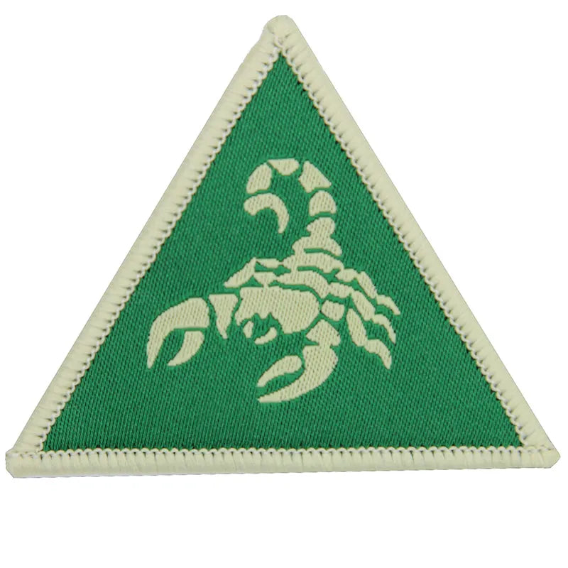 9th Deep Recce Strike Brigade Combat Team Green Cream x3 TRF Pack