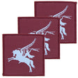 16 AA Bde Pegasus Colour Hook and Loop TRF: x3 Pack