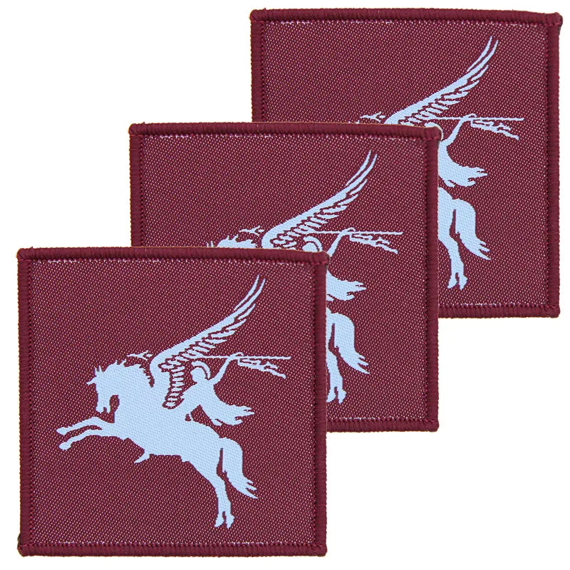 16 AA Bde Pegasus Colour Hook and Loop TRF: x3 Pack