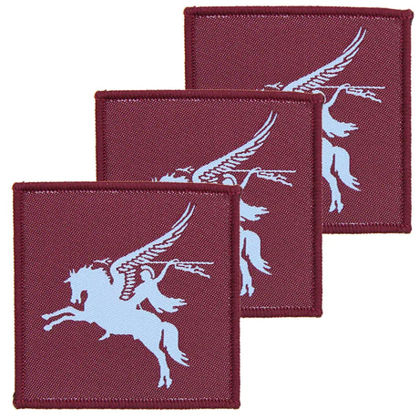 16 AA Bde Pegasus Colour Hook and Loop TRF: x3 Pack