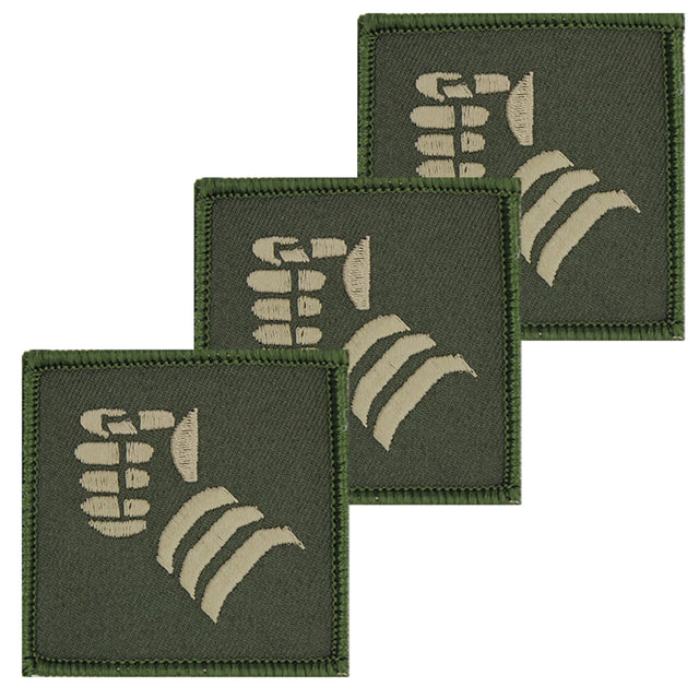 20th Armoured Brigade Combat Team Hook and Loop Green x3 TRF Pack